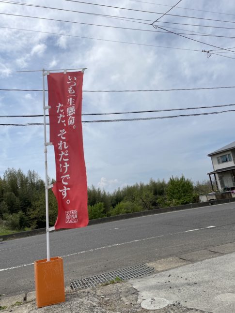 曇りの日の過ごし方